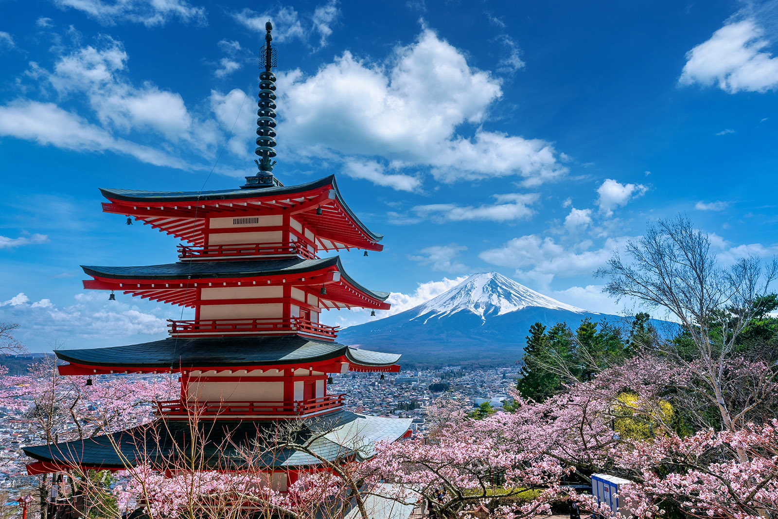 Am 24. Mai entführt das Seniorenbüro Alt-West bei der Film-Dokumentation "Meine Reise in Japan" Besucherinnen und Besucher ins Land der Kirschblüte (Foto: tawatchai1990 - stock.adobe.com).