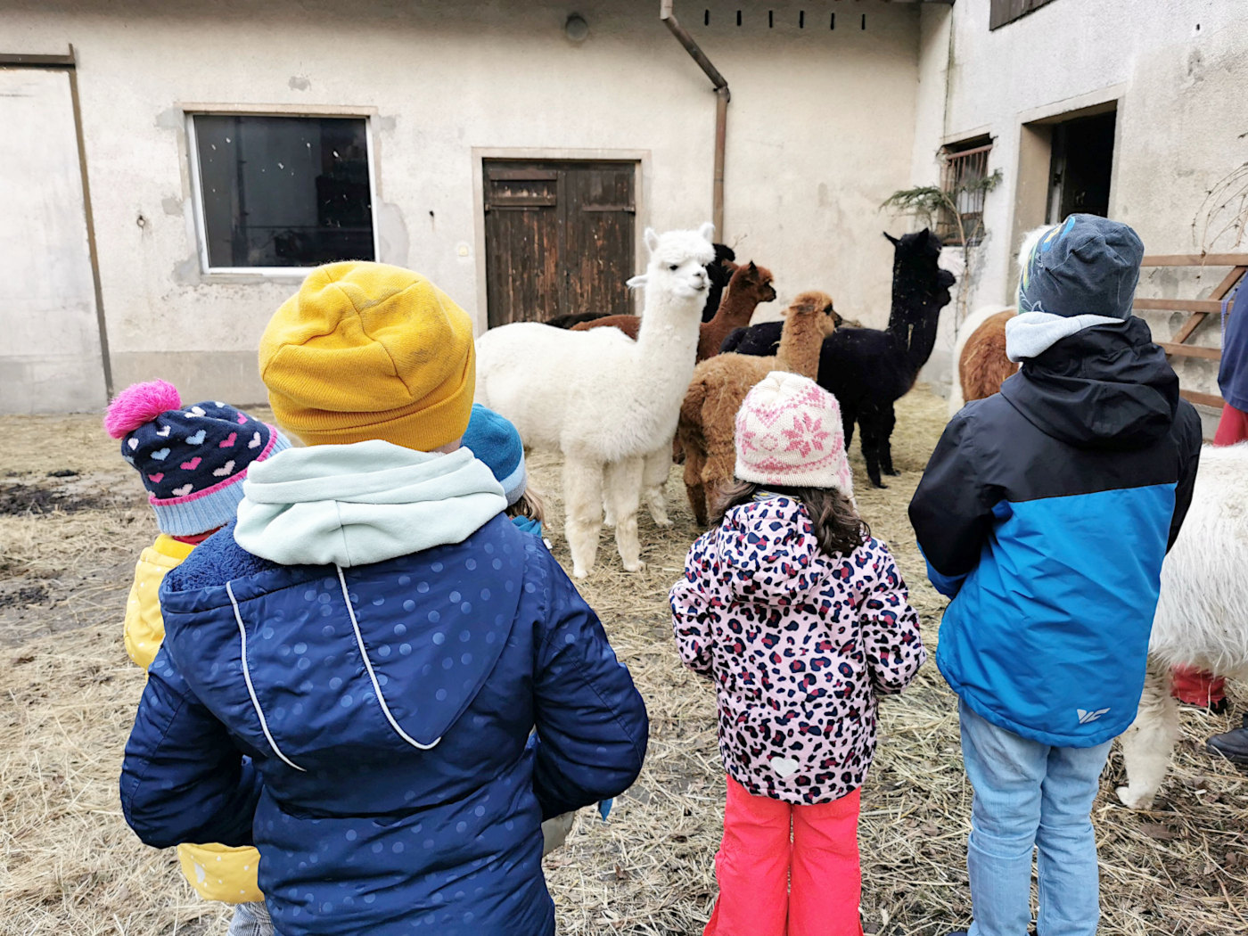 Wissenswertes rund um Tiere und Skifahren: Die Kinderwohngruppe Südvorstadt erlebte in ihrem ersten gemeinsamen Gruppenurlaub allerhand (Foto: Sebastian Bähner).